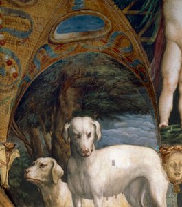 Pair of dogs (detail)