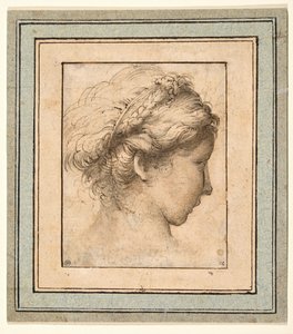 Profile Head of a Girl Looking to the Right by Parmigianino