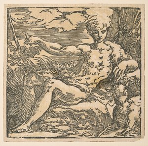 Saint John the Baptist in the wilderness by Parmigianino