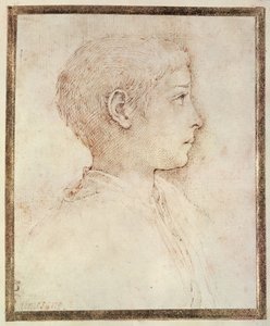 Head of a Boy