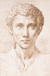 Head of a Young Man Looking Up