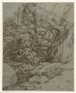 Study of a landscape by Parmigianino