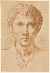 The Head of a Young Man