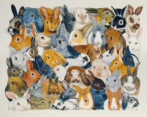 Bright Eyes by Pat Scott