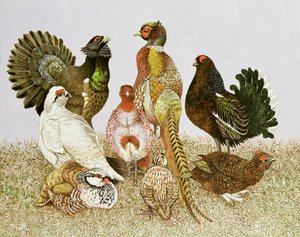 Game Birds by Pat Scott