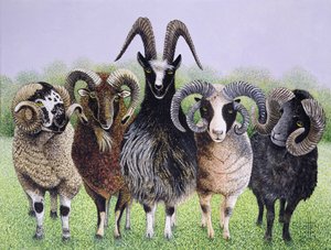 Ramifications by Pat Scott