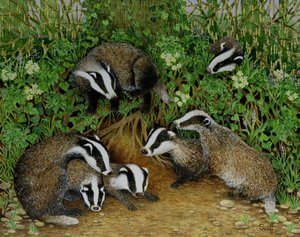 Setting Out by Pat Scott