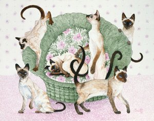 We are Siamese if you please by Pat Scott