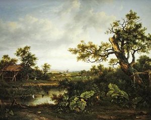 Wooded landscape