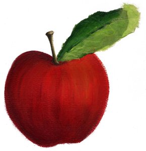 Fruit