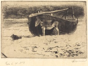 Small Donkey at Berck