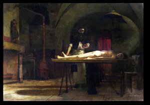 Dissection scene