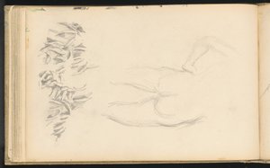 A Nude and Foliage