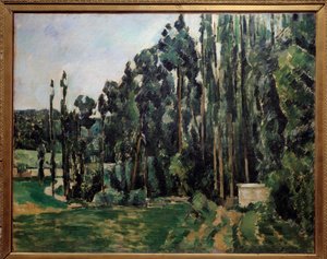 The Poplars