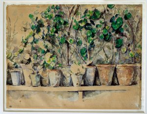 The Flower Pots