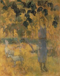 The Harvest