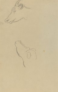 Head of a Cow by Paul Gauguin