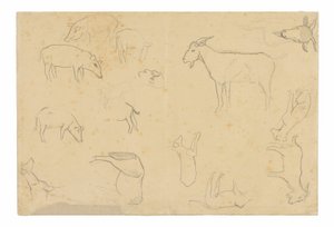 Sketches of Various Animals and Head (recto), Sketches of a Head, Figure in Profile, Anatomical Details, and Animals (verso)
