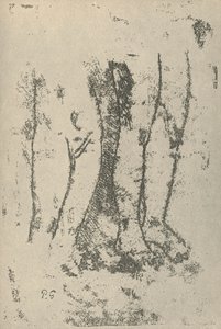 Study