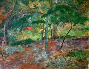 Tropical Landscape on Martinique