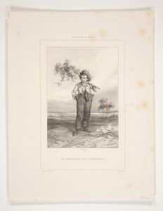 The Beetle Merchant