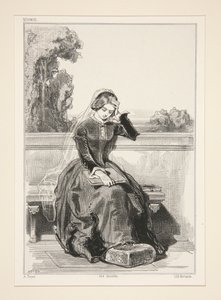 Rose of Tannebourg