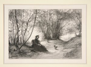 Solitude