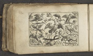 Crane and Twelve Other Birds by Paul Göttich