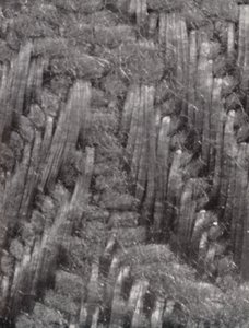 Fibres of a Damask Table Napkin