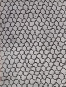Mesh of a Woman