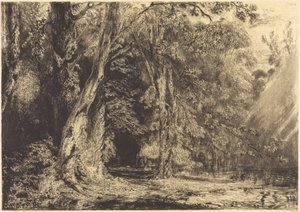 Flooding in the Forest of the Ile Séguin by Paul Huet
