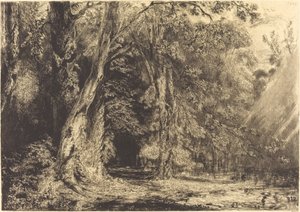 Flooding in the Forest of the Ile Séguin