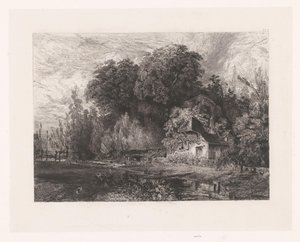 View of a House at the Edge of a Forest