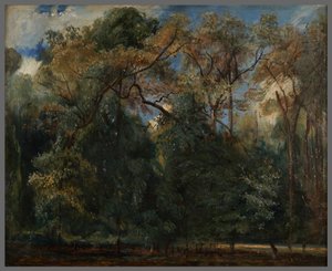 The Elms of Saint-Cloud by Paul Huet