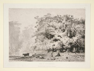 Woods Near Fontainebleau by Paul Huet