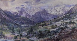 An Alpine View