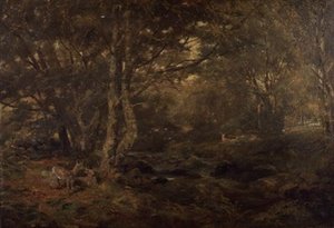 Through the Wood, Pont-y-Gytyn, North Wales