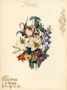 Bouquet of Lilies, Tulip, Fuchsia, Tiger Lily