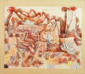 Landscape with Agaves