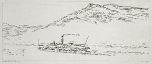Steamboat on the Thuner Sea