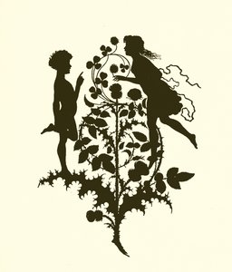 A Midsummer Night