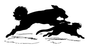 Silhouette by Paul Konewka
