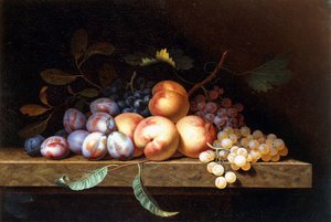 Peaches, Plums and Grapes on a Stone Ledge