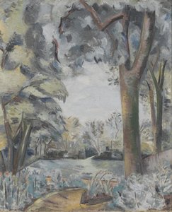 Coronilla Landscape