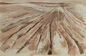 Earth, Sky by Paul Nash