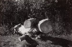 Object Trouve by Paul Nash