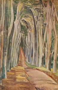 Savernake Forest