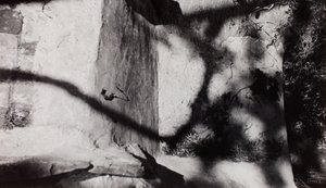 Step Edge; below Nash’s garden at New House, Rye, Sussex by Paul Nash