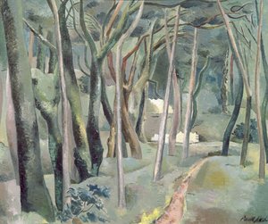 The Forest