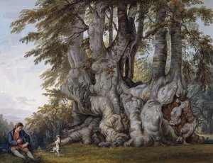 A Boy Making a Dog Dance by the Bole of an Ancient Gnarled Beech Tree